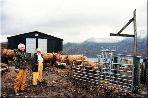 "Hairy Coo" Farmers, Scotland, December 1997
