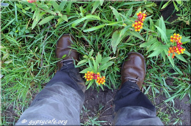 Flowers and Boots - Hiking Easter Island