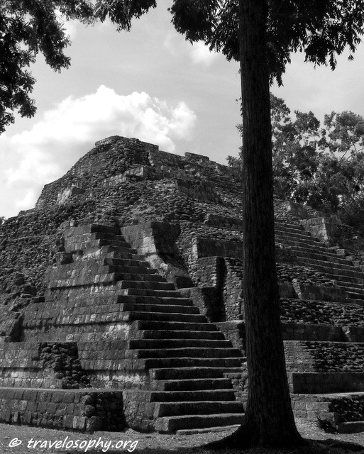 Tree in front of pyramid 216, East Acropolis at Yaxhá, North-East Petén, Guatemala. Photograph by Jean-Jacques M. September 2015.