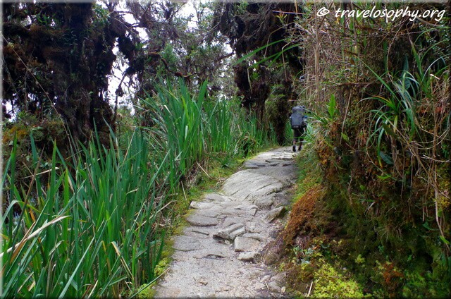 Inca Trail View 19