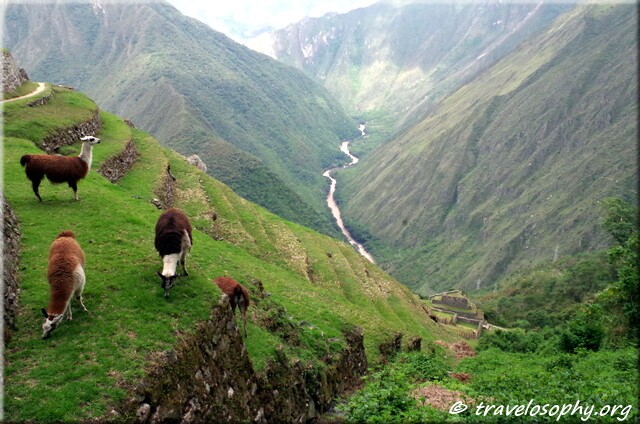 Inca Trail View 27