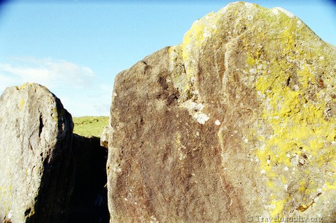 Loughcrew Fossalised Stones