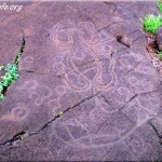 Papa Vaka Petroglyphs Of Octopus (heke) Rapa Nui North Coast