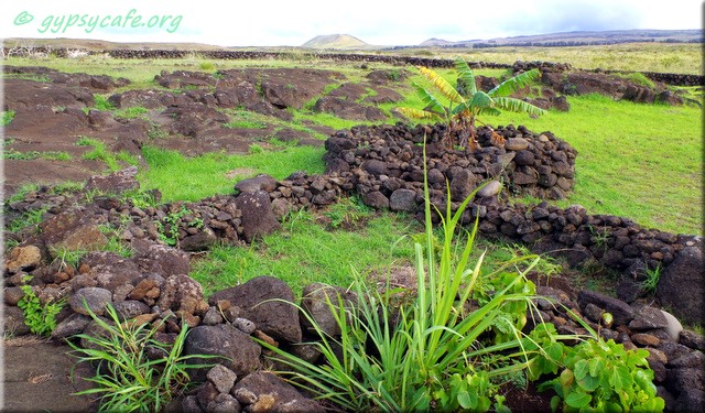 Papa Vaka manavail and petroglyphs garden - Rapa Nui