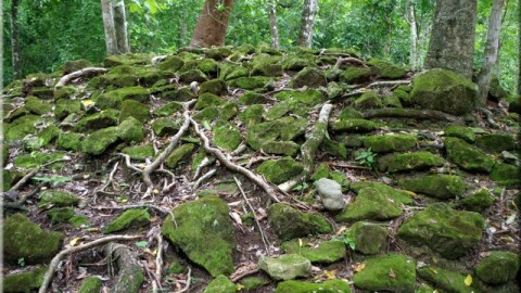 Copan Maya Ruins Honduras Central America Image 1