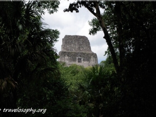 Tikal National Park – Guatemala – Temple IV