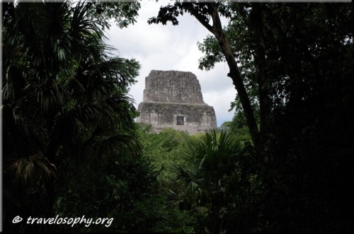 Tikal National Park – Guatemala – Temple IV