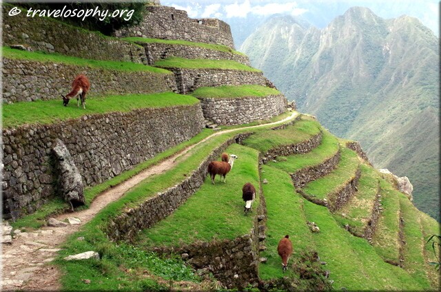 Inca Trail View 26