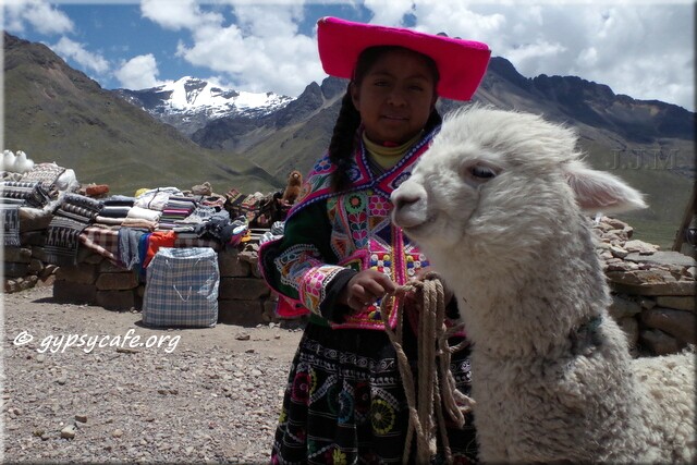 Peruvian Girl with Alpaca 