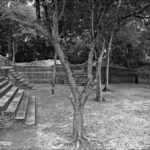 Truth And Energy Gypsy Cafe